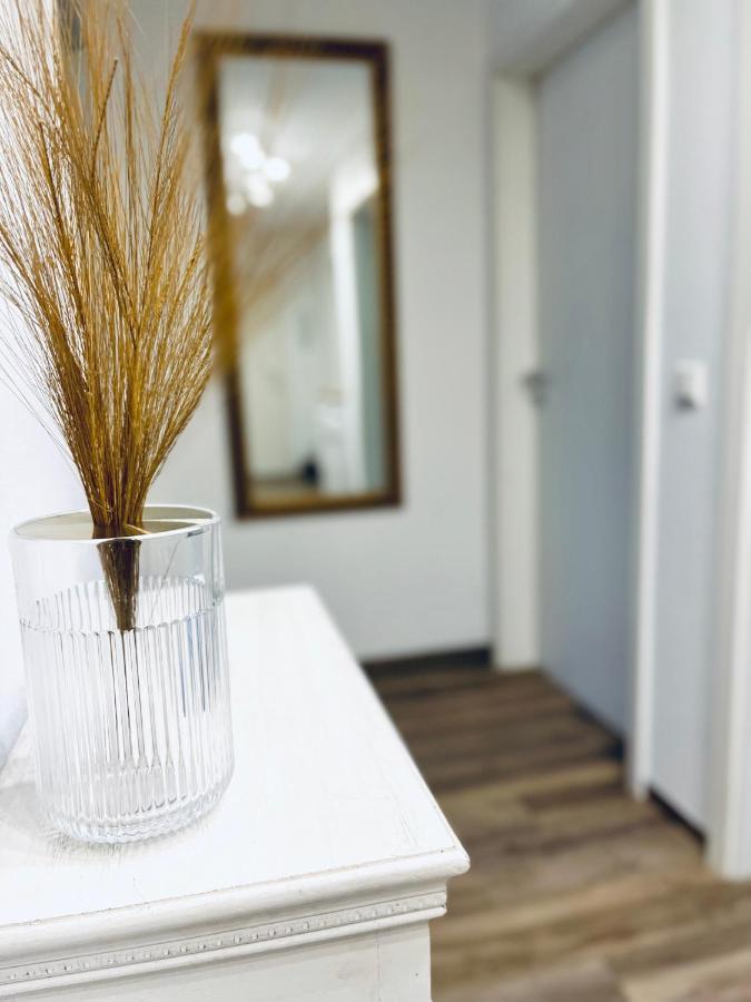 Modernes 3 Zimmer Apartment - Luise- Mit Wlan, Balkon Und Smart-Tv In City-Nahe! Erfurt Buitenkant foto